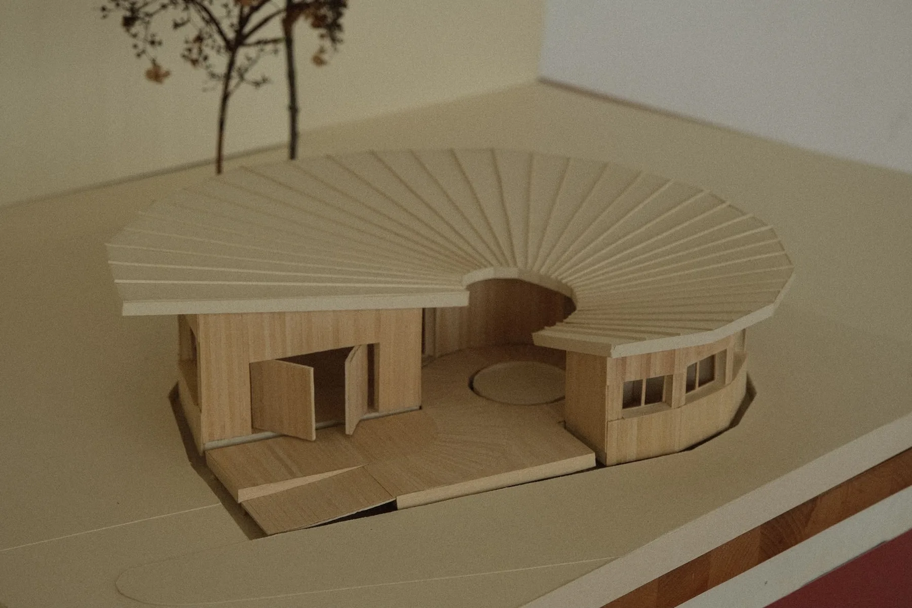 Balsa and card model seen from above at an angle: a low timber building with a radiating fan roof wrapping an open circular courtyard, with a dried-flower tree behind it.
