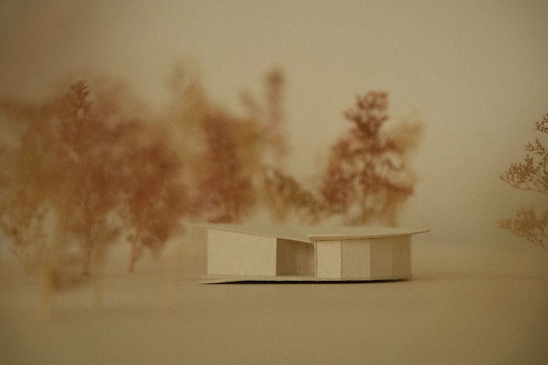 Early card massing model of a long low building with a slot opening, photographed against blurred dried flowers.